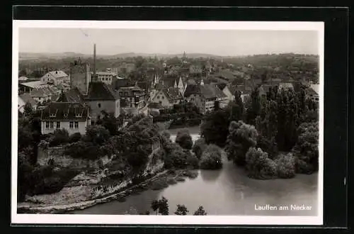 AK Lauffen am Neckar, Teilansicht mit Schloss