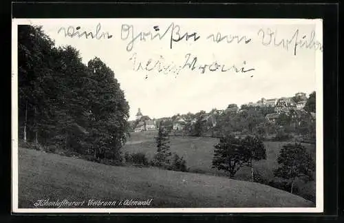 AK Vielbrunn i. Odenwald, Teilansicht mit Bäumen