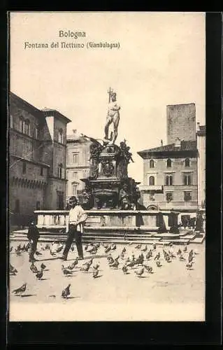 AK Bologna, Fontana del Nettuno (Giambologna)