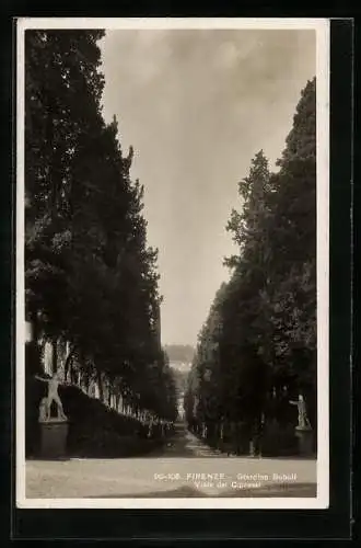 AK Firenze, Giardino Boboli, Viale dei Cipressi