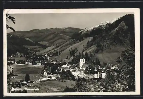 AK Veitsch, Blick über Dorf gegen Gebirge