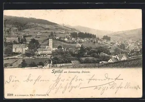 AK Spital am Semmering, Totalansicht mit Bergpanorama