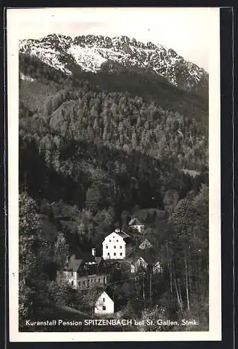 AK St. Gallen /Stmk., Kuranstalt Pension Spitzenbach