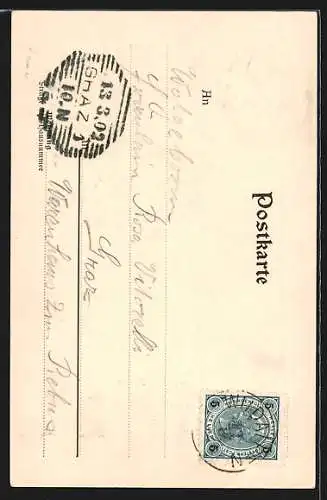 AK Wildalpen, Totale des Ortes