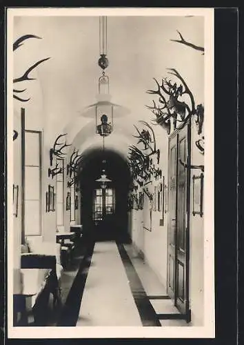AK Neuberg a. d. Mürz, Trophäen-Gang im Jagdschloss