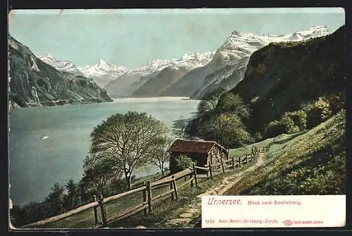 AK Seelisberg, Blick über den Urnersee