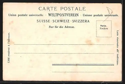 AK Seelisberg, Blick über den Urnersee