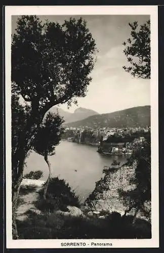 AK Sorrento, Panorama