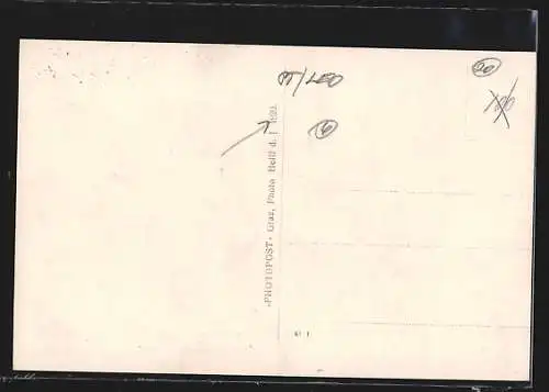 AK Radmer, Forsthaus im Bergidyll