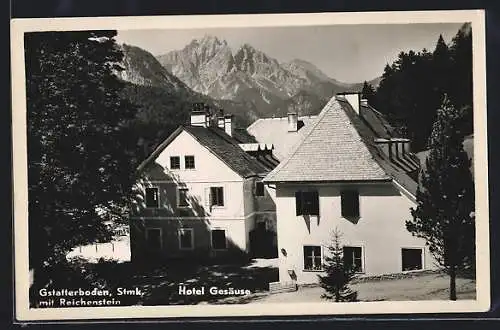 AK Gstatterboden, Steiermark, Hotel Gesäuse mit Gebirgshintergrund