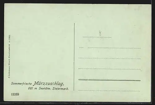 AK Mürzzuschlag, Ortsansicht mit Raxalpe