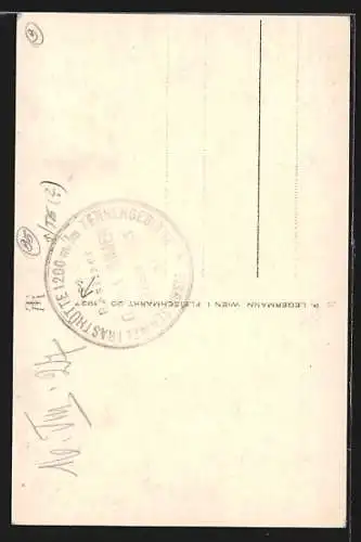 AK Tänneck, Ortsansicht mit Pass Lueg