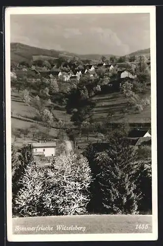 AK Scheiblingkirchen-Thernberg, Witzelsberg, Ortsansicht von oben