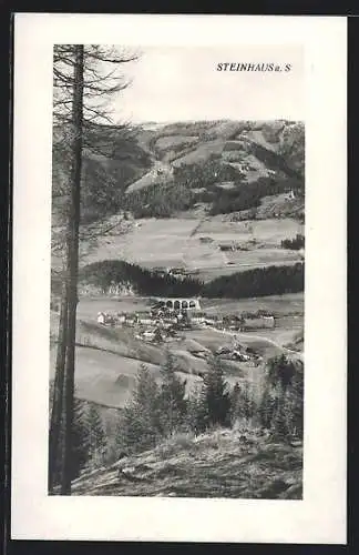 AK Steinhaus a. S., Ortsansicht mit Viadukt