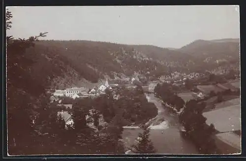 AK Pölla, Wegscheid am Kamp, Ortsansicht mit Fluss von oben