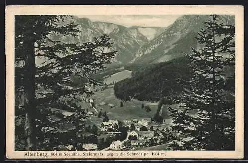 AK Altenberg /Steiermark, Totalansicht gegen die Schneealpe