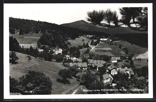 AK Miesenbach /N. Oe., Frohnberg, Ortsansicht von oben