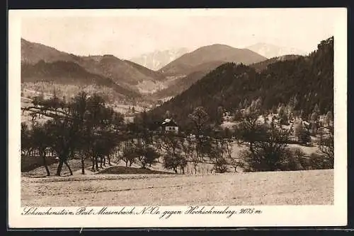 AK Scheuchenstein, Ortsansicht gegen Hochschneeberg