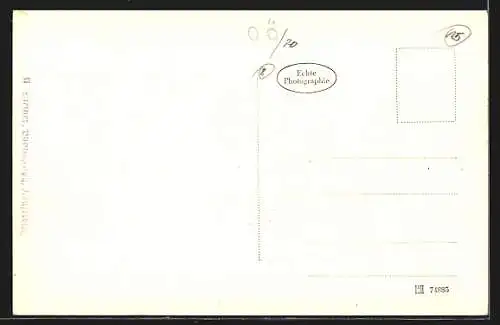 AK Neufelden, Panorama