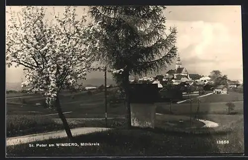 AK St. Peter am Wimberg, Ortsansicht im Frühling von der Landstrasse aus