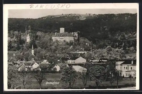 AK Enzesfeld, Ortsansicht aus der Vogelschau