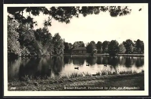 AK Wiener-Neustadt, Kriegsschule, Pionierteich im Park