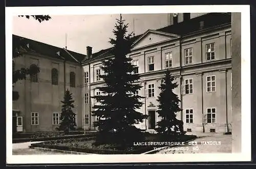 AK Theresienfeld /N.-Ö., Landesberufsschule des Handels