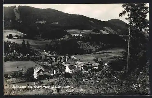 AK Steinhaus am Semmering, Ortsansicht aus der Vogelschau