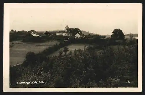 AK Lichtenegg /N.-Oe., Ortspartie mit Kirche