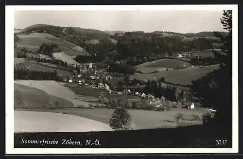 AK Zöbern /N.-Ö., Panorama