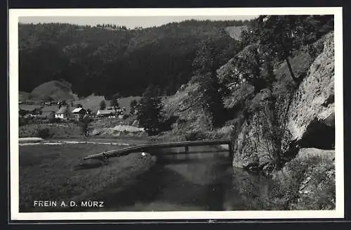 AK Frein a. d. Mürz, Ortspartie mit Brücke