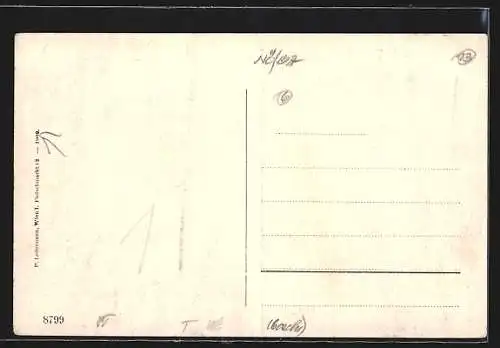 AK Altenmarkt a.d. Triesting, Ortsansicht