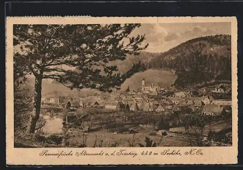 AK Altenmarkt a. d. Triesting, Teilansicht mit Kirche