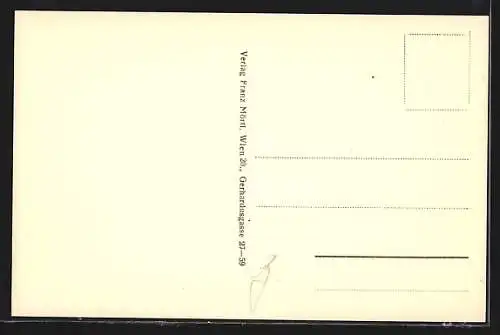 AK Wr. Neustadt, Burgplatz, Akademie