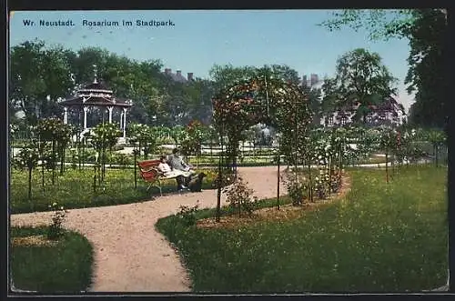 AK Wr.-Neustadt, Rosarium im Stadtpark