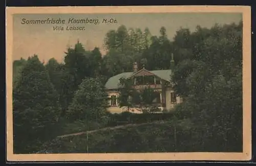 AK Kaumberg /N.-Ö., Villa Leisser