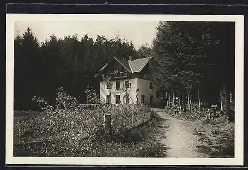 AK Tauchen bei Mönichkirchen, Hotel Pension Villa Waldfriede