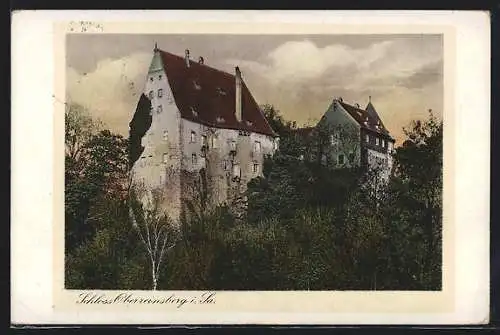 AK Oberreinsberg i. Sa., Blick auf das Schloss
