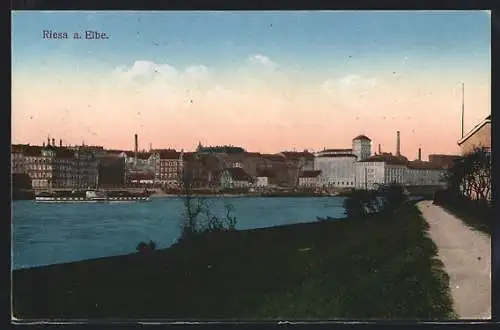 AK Riesa a. Elbe, Flussblick mit einem Raddampfer vor der Stadt