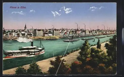 AK Riesa, Blick über die Elbe zum Ort, Dampfschiffe