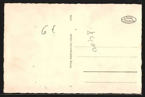 AK Riesa /Elbe, Das Rathaus und die Klosterkirche