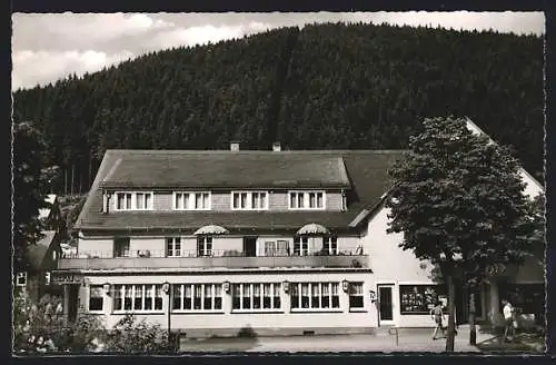 AK Willingen /Waldeck, Das Hotel Göbel