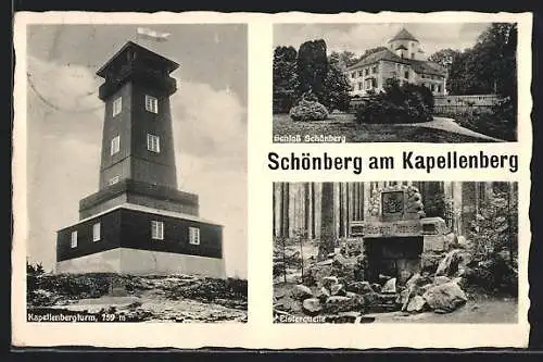 AK Schönberg / Vogtl., Elsterquelle, Schloss, Kapellenbergturm