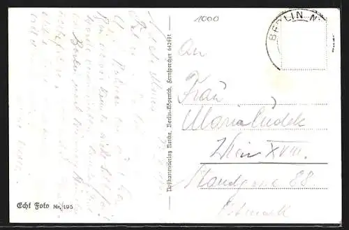 AK Berlin, Unter den Linden, Dom, Ehrenmal und Universität