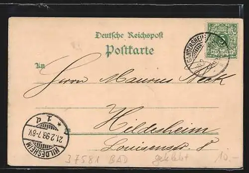 Lithographie Gandersheim, Gasthaus Waldschlösschen, Wilhelm Augusta Stift, Progymnasium