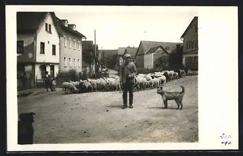 Foto-AK Steckenroth, Schäfer mit seinem Schäferhund und der Herde, 1925