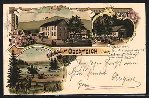 Lithographie Sonnenberg /Harz, Belebte Ortspartie, Restaurant Oderteich, der Oderteich