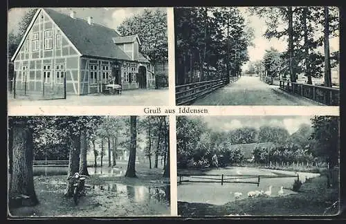 AK Iddensen, Thiel`s Gasthaus, Strassenpartie, Gänse am See