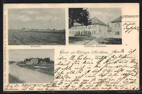 AK Ettringen / Bay., Gräfliches Bräuhaus, Holzstoff-Fabrik