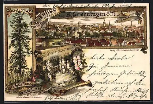 Lithographie Schwenningen a. N., Neckar-Quelle, Hölzle-König, Blick auf die Stadt